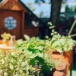 Bayrischer Hof 3* Wels