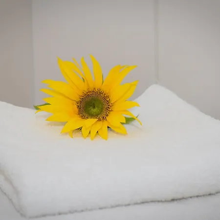 Bayrischer Hof 3* Βελς