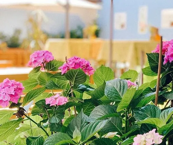 Hotel Bayrischer Hof