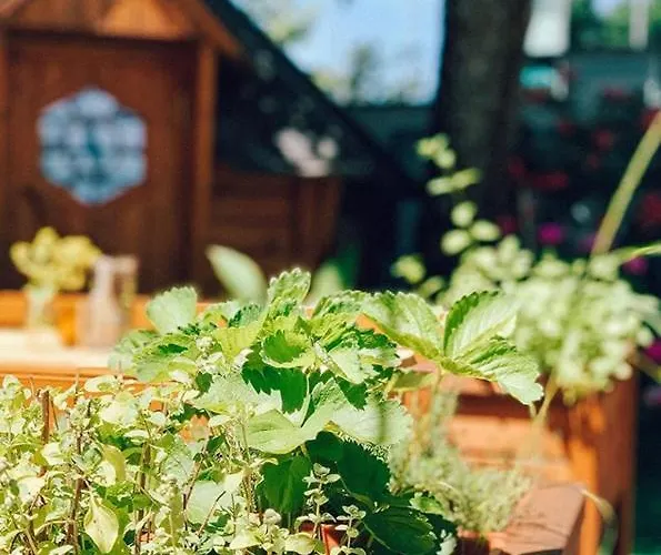 Bayrischer Hof 3* Wels