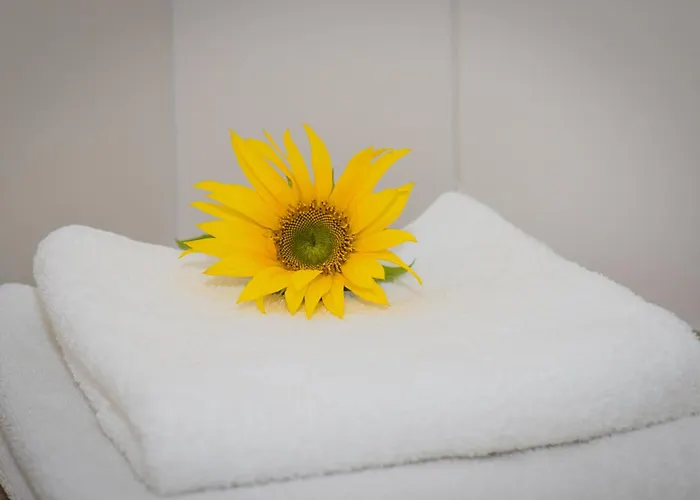 Bayrischer Hof 3* Wels